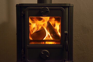fire in wood burning fireplace provides cozy warmth