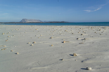 wind marks on the beach Shapes sculpted by the wind and surf around pebbles  on La Cinta beach. San Teodoro Nuoro, Sardinia. Italy