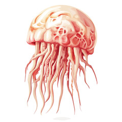 Jellyfish Head Vector Illustration | Elegant Marine Artwork for Logos & Digital Designs  

