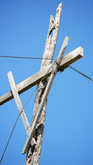 urban wood structure