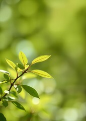 Obraz premium Fresh green leaves with blurred bokeh background springtime nature concept for poster or wallpaper design bokeh green bokeh green abstract background light bright blur pattern