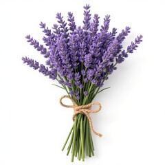 Obraz premium Lavender Tied with Twine, Symbol of Tranquility, Relaxation and the Aesthetics of Provence