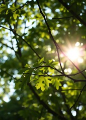 Obraz premium Sunlight bokeh in the defocused tree leaves and tree branches bokeh green bokeh green abstract background light bright blur pattern