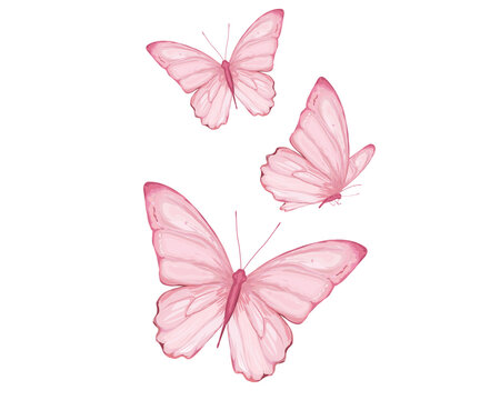 watercolor pink design hand drawn set 