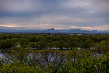 Different aspects of the swamp landscape of the camargue, france, in early spring