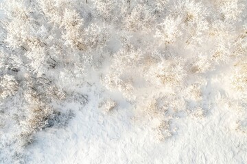 Obraz premium Aerial view of winter snowy landscape with forest and field.