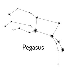 Vector illustration of the Pegasus constellation in a clean, minimalistic black-and-white style. Perfect for astronomy, stargazing, zodiac, and educational purposes © Kateryna