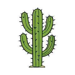 Green Cactus Botanical Drawing