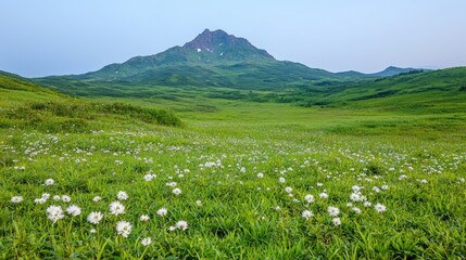 Obraz premium Mountain meadow wildflowers summer sunrise landscape