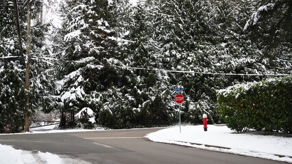 Park with snow in winter