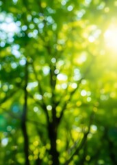 Obraz premium Blurred green nature background with bokeh effect bright sunlight and soft focus on the foliage of trees in spring or summer season generative ai bokeh green bokeh green abstract background light brig