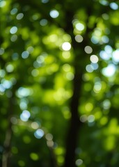 Obraz premium Natural green blurred background abstract background with bokeh defocused lights royalty high-quality free stock image of bokeh light from the sun through the leaves with copyspace for text design bok