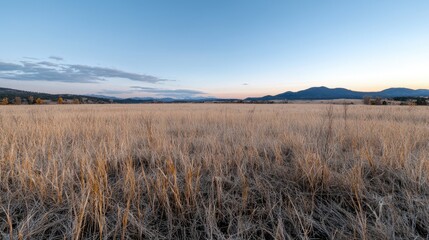 Golden field at sunset, mountains background, peaceful landscape, travel photography
