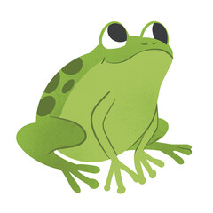 Frog Croaking