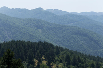 Rhodopes, are a mountain range in Southeastern Europe. Bulgaria. Panorama. The forest area covers the mountains.