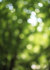 Fototapeta premium Blurred green background bokeh green bokeh green abstract background light bright blur pattern