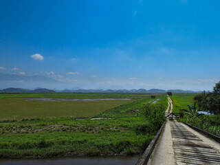 bridge over the river