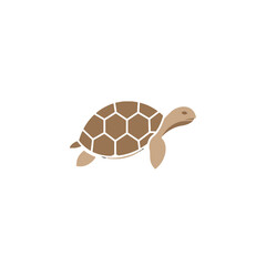 Minimalist Illustration of a Tortoise with Geometric Design