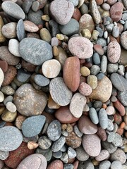 Various smooth and textured pebbles in shades of gray brown and pink cover the ground glistening in sunlight This vibrant collection of stones forms a natural pattern along a shoreline