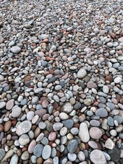 Colorful Pebbles Scattered Along a Beach Create a Natural Mosaic Under Soft Sunlight