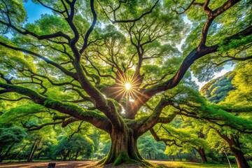 Obraz premium Yoyogi Park's Meiji Jingu: vibrant green canopy, rule of thirds composition, capturing serene Japanese nature.