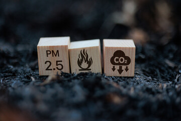 Three wooden blocks with symbols for PM 2.5, fire, and CO₂ emissions on burnt ground, emphasizing the environmental impact of air pollution.