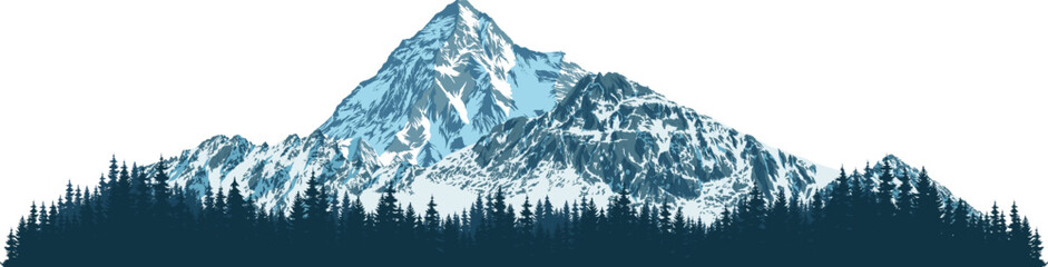 vector illustration Pakistan mountains with forest