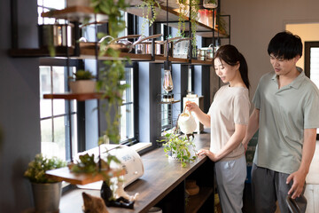 観葉植物に水やりをする女性