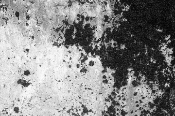 Fototapeta premium Old black background. Grunge wall texture. Blackboard wallpaper. Grung