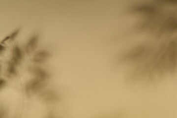 Light and shadows falling on beige background