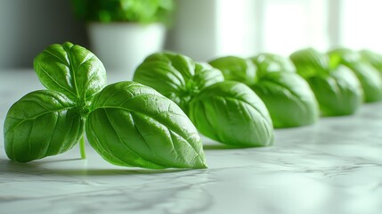 Obraz premium Fresh basil leaves on marble kitchen counter, sunlight background, food prep