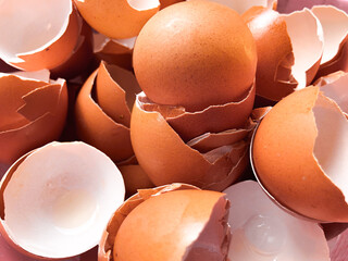 broken egg shells