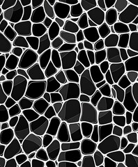 Obraz premium Abstract Black and White Organic Shapes Background with Curves
