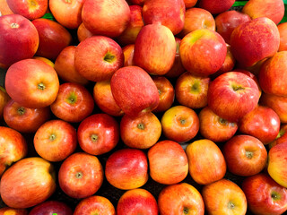 red apples group at the market