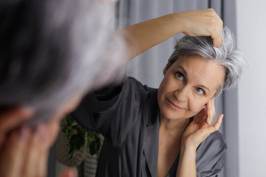 An adult well-groomed woman of age during menopause with gray hair examines the amount of gray hair