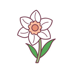 Wildflower blossom botanical illustration