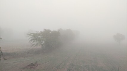fog in winter morning, fog over the trees, foggy weather cinematic view, hiding trees in fog