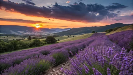 Gordijnen Lavender Sunset Long Exposure: Purple Flower Garden Photography © Arethaawykoff