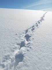 Footprints in the snow receding towards the horizon - Trace de pas dans la neige s'éloignant vers l'horizon
