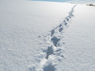 Footsteps in the fresh snow towards the horizon - Traces de pas dans la neige fraiche se dirigeant vers l'horizon