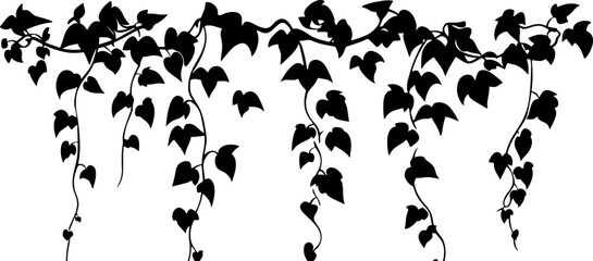 Hanging ivy vine silhouette border