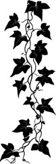 Hanging ivy vine silhouette border