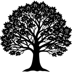 Obraz premium tree silhouette 