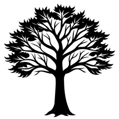 Fototapeta premium tree with leaves