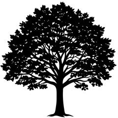 Obraz premium tree silhouette