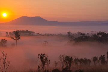 sunrise over the sea of mist