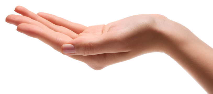 closeup of empty open palm hand isolated on white background