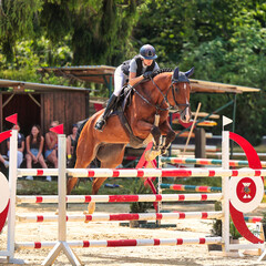 Horses Jumping horse with rider in a jumping competition, in the course.