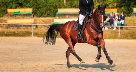 Horses Jumping horse with rider in a jumping competition, in the course.
