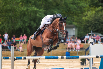 Horses Jumping horse with rider in a jumping competition, in the course.